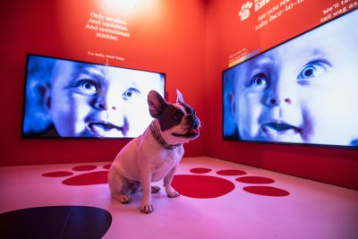 huggies baby academy