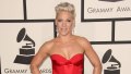 So What? Pink Is Never Afraid to Go Braless On the Red Carpet! See Photos of Her With No Bra