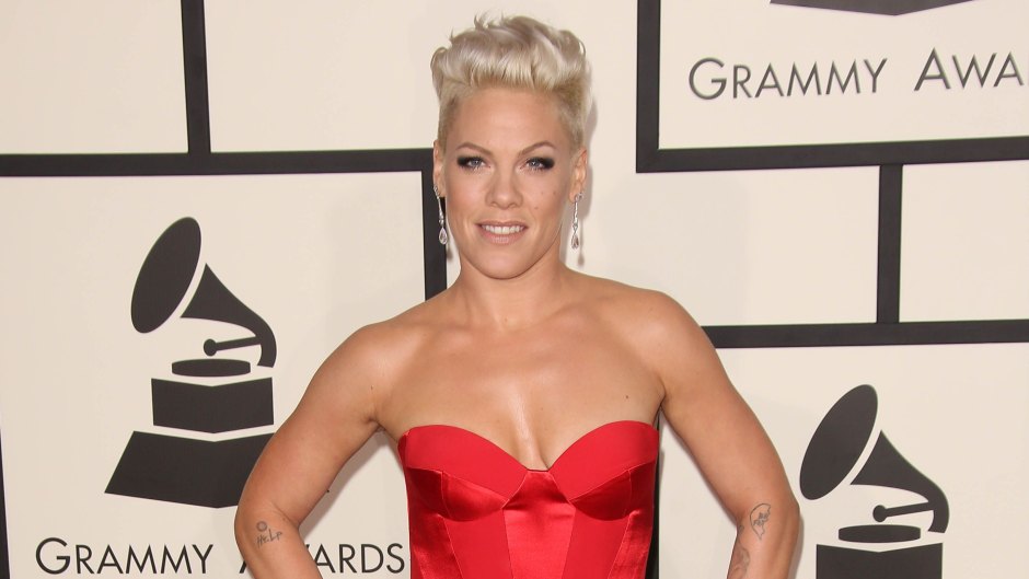 So What? Pink Is Never Afraid to Go Braless On the Red Carpet! See Photos of Her With No Bra