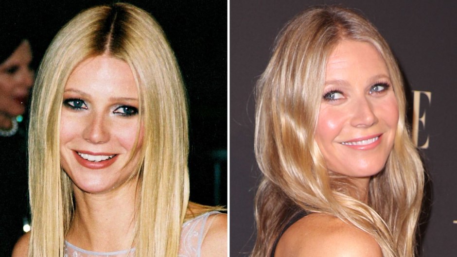 Did Gwyneth Paltrow Get Plastic Surgery? Transformation Photos