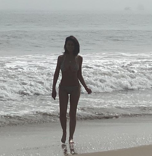 Emmanuelle Chriqui Bikini