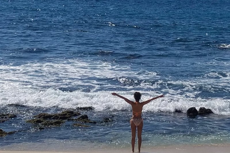 Emmanuelle Chriqui Bikini