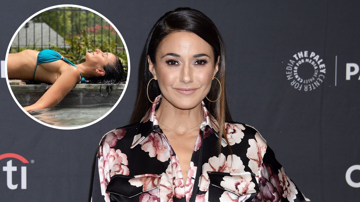 Emmanuelle Chriqui Bikini