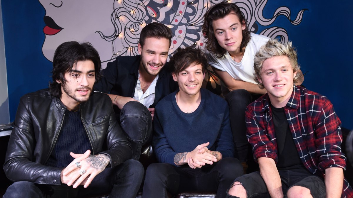 One Direction Shady Quotes About the Band