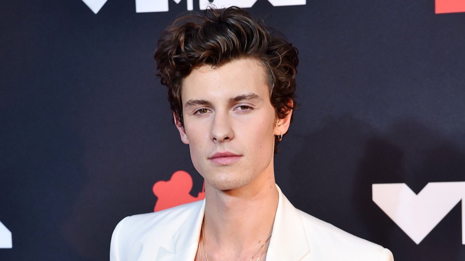 Why Shawn Mendes Postponed 2022 Tour: Mental Health Update