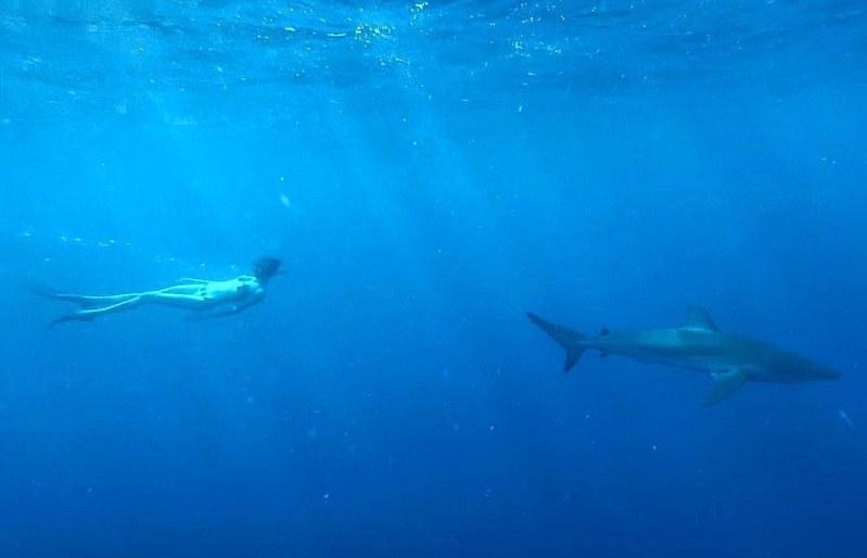 Cara Delevingne Bikini Pictures: Her Sexiest Swimsuit Photos