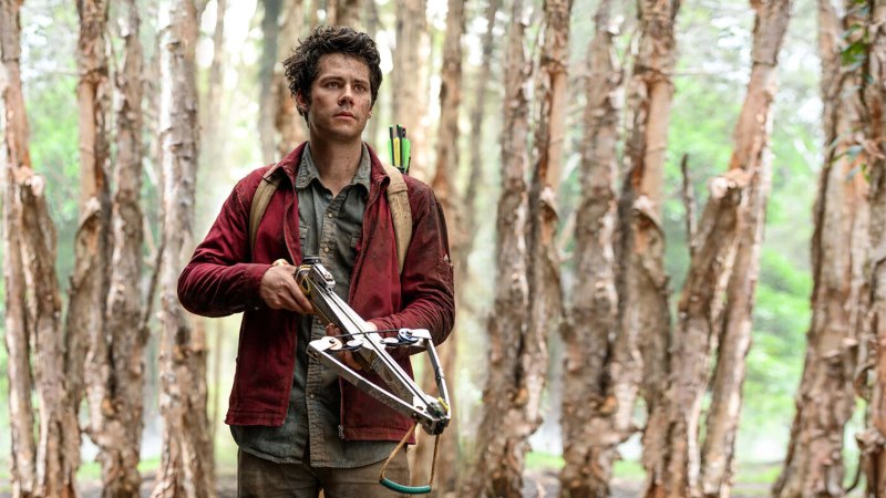 We're ~Not OK~ With Dylan O'Brien's Transformation From 'Teen Wolf' to Today: Photos Over the Years