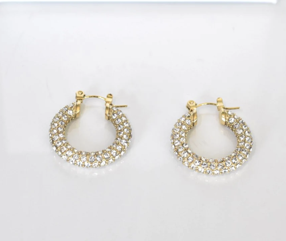 Celine CZ Hoop Earrings