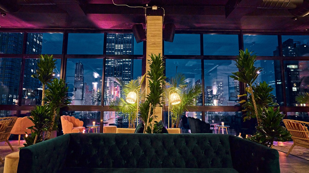 daintree-nyc