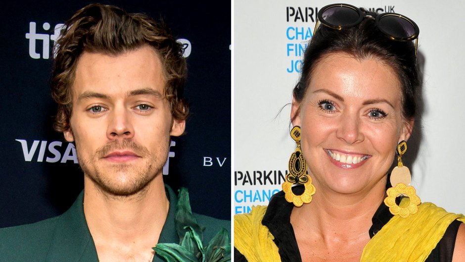 Harry Styles' Mom Anne Claps Back at 'Don't Worry Darling' Hate in Rare Comment