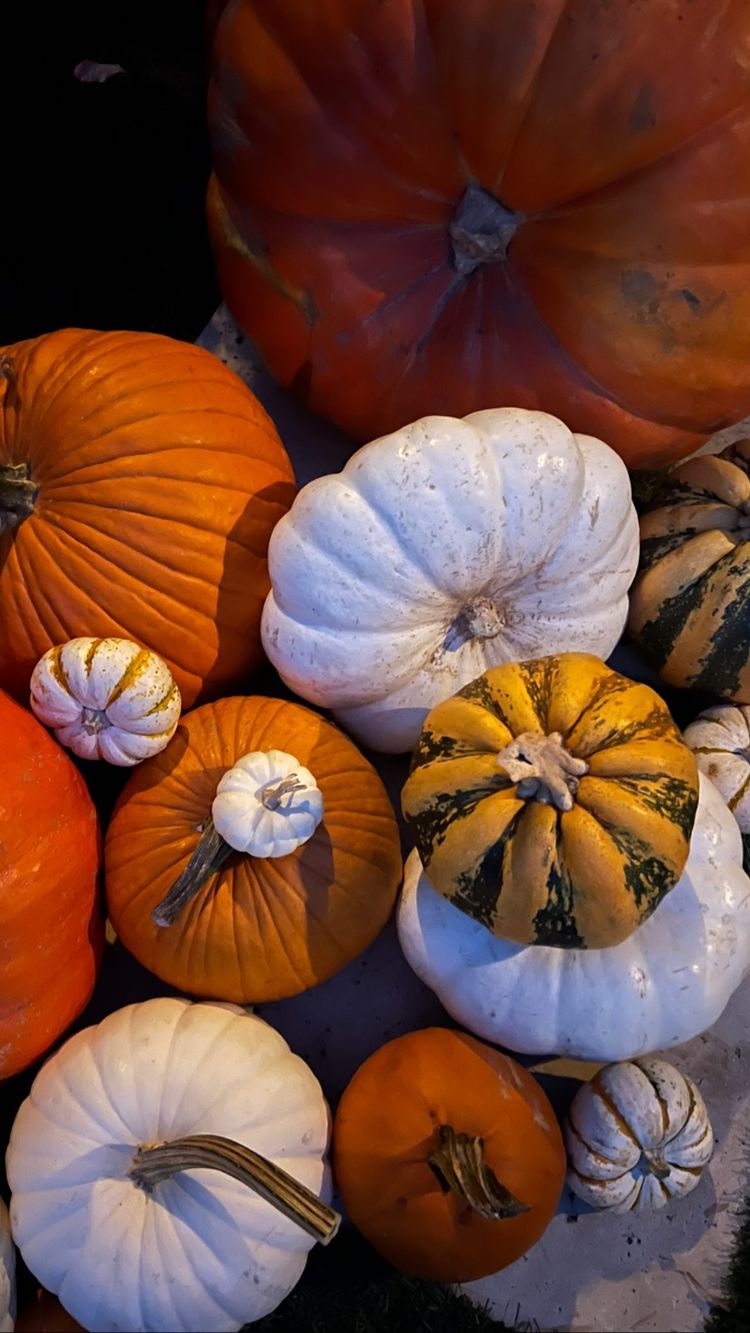 Kourtney Kardashian’s Halloween Decorations 2022: See Photos!