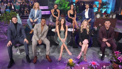 Bachelor in Paradise Reunion Recap Season 8