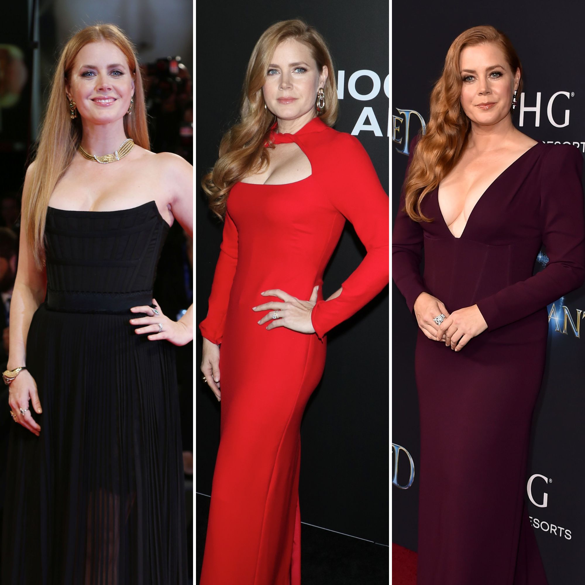 Porn Of Amy Adams - Amy Adams Braless Photos: Pictures of Actress Without a Bra