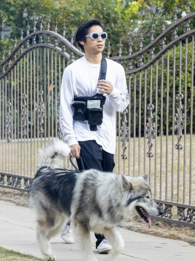 Pax Jolie-Pitt Enjoys Rare Outing in L.A. to Walk Dog: Photos