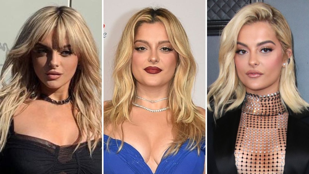 Bebe Rexha Sheer Outfits: Photos of Her See-Through Looks