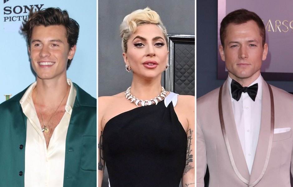 Cold in Here! Shawn Mendes, Lady Gaga and More Stars Who've Taken the Polar Plunge: Photos