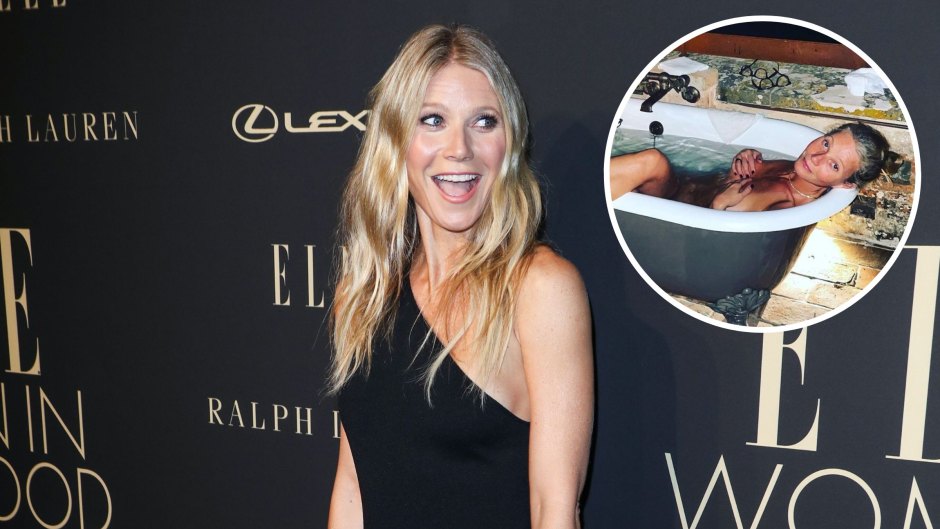 Gwyneth Paltrow Topless, Nude: Photos of the Actress