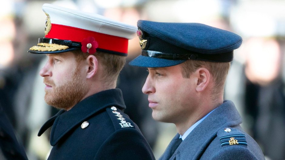 A Royal Rift! Prince William and Prince Harry's Ongoing Feud: A Complete Timeline