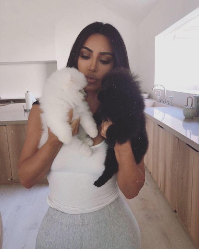 Kim Kardashian Sparks Internet Debate After Seemingly Housing Her Dogs in the Garage