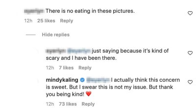 Mindy Kaling Food Concern