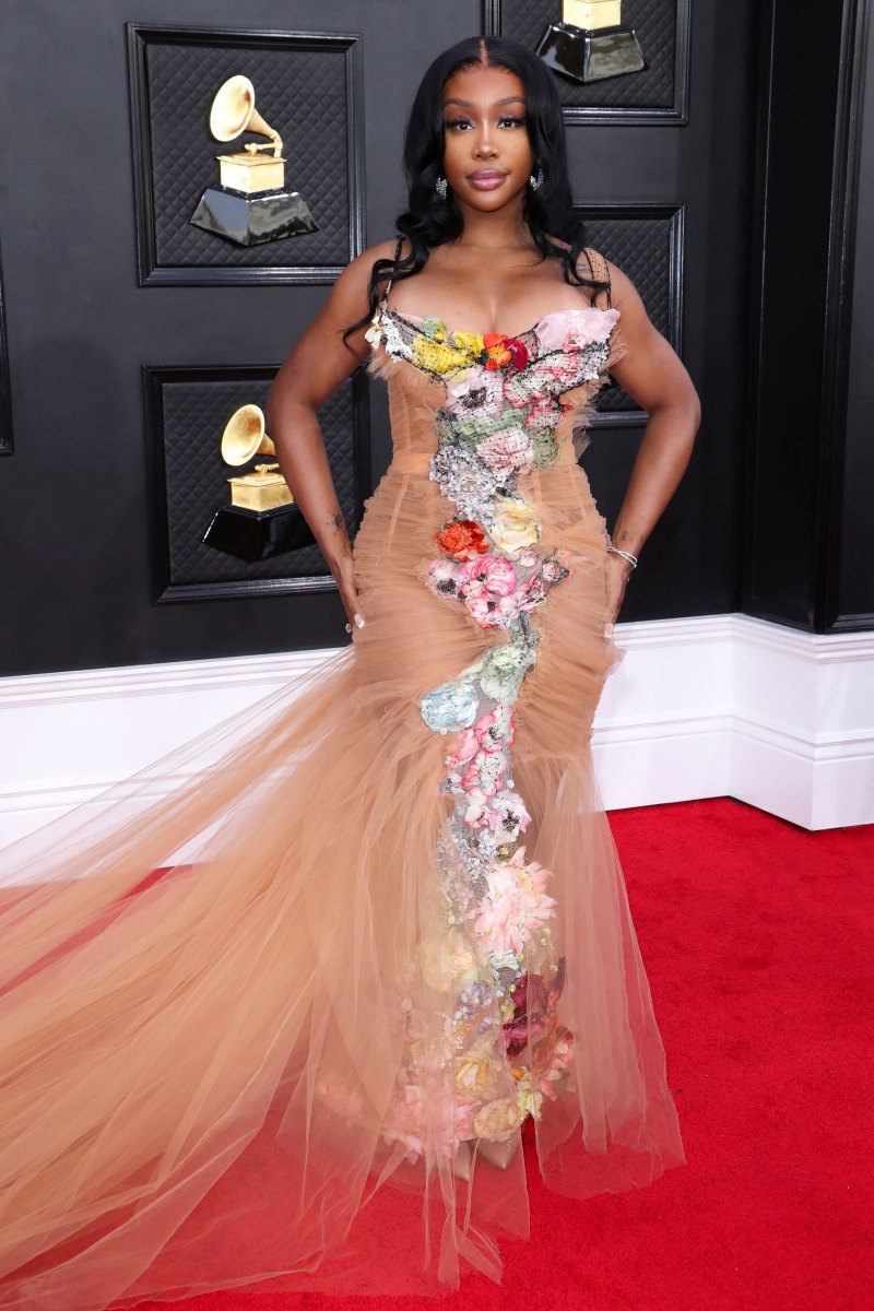 Did SZA Confirm Ongoing Plastic Surgery Rumors? Transformation Photos, Speculation and More