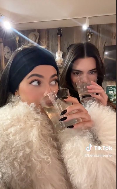 Kylie and Kendall Jenner Poke Fun at RHOBH's Kathy Hilton and Lisa Rinna's Tequila-Gate
