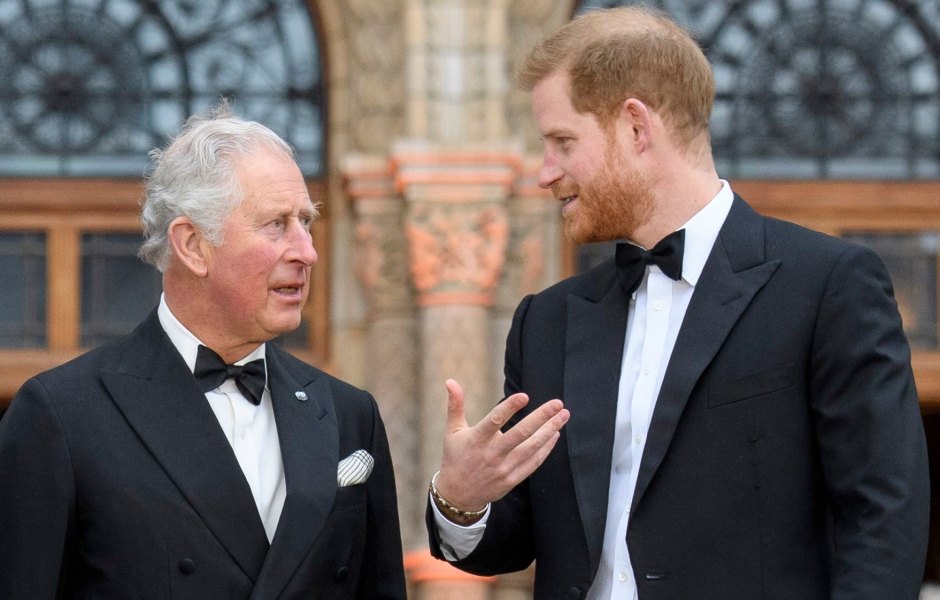 Prince Harry Addresses Rumors That Prince Charles Isn’t His Real Father in ‘Spare’: ‘Who Knows?'