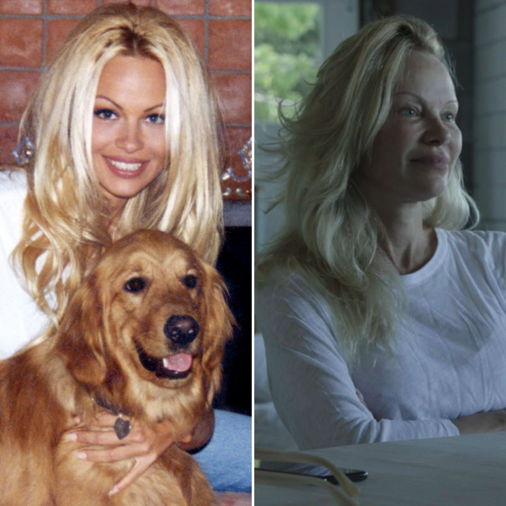 Pamela Anderson Young to Now: See the Model's Transformation