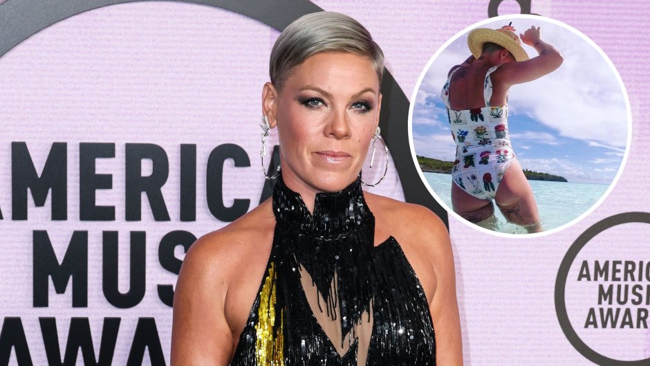 ~Raise Your Glass~ for Pink’s Stunning Bikini Pictures: See Her Sexiest Swimsuit Photos  