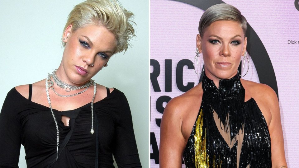 Pink Transformation: Photos of the Singer Then and Now | Life & Style