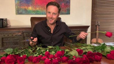 Chris Harrison The Bachelor