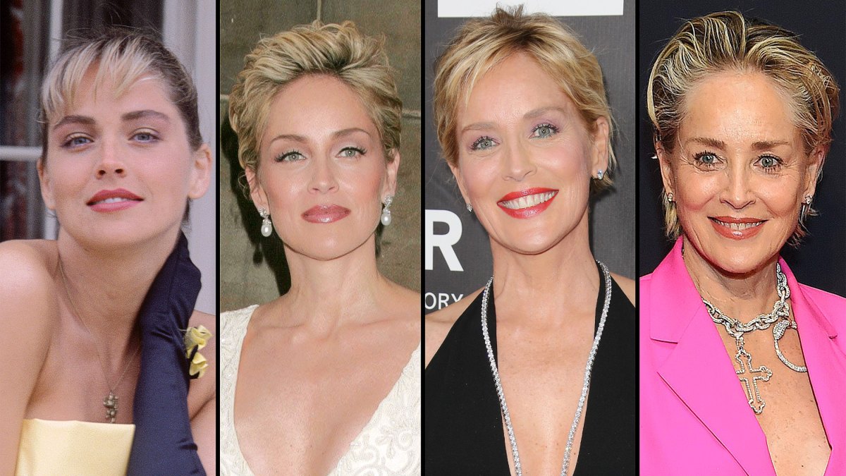Has Sharon Stone Undergone Plastic Surgery? - 875