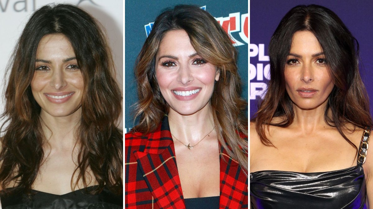 Is 'Sex/Life' Star Sarah Shahi Get Plastic Surgery? The Actress' Transformation in Photos