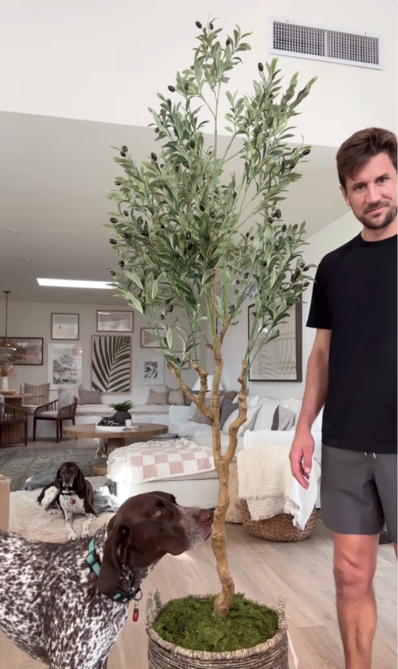 JoJo Fletcher Jordan Rodgers Puerto Rico Home Tour