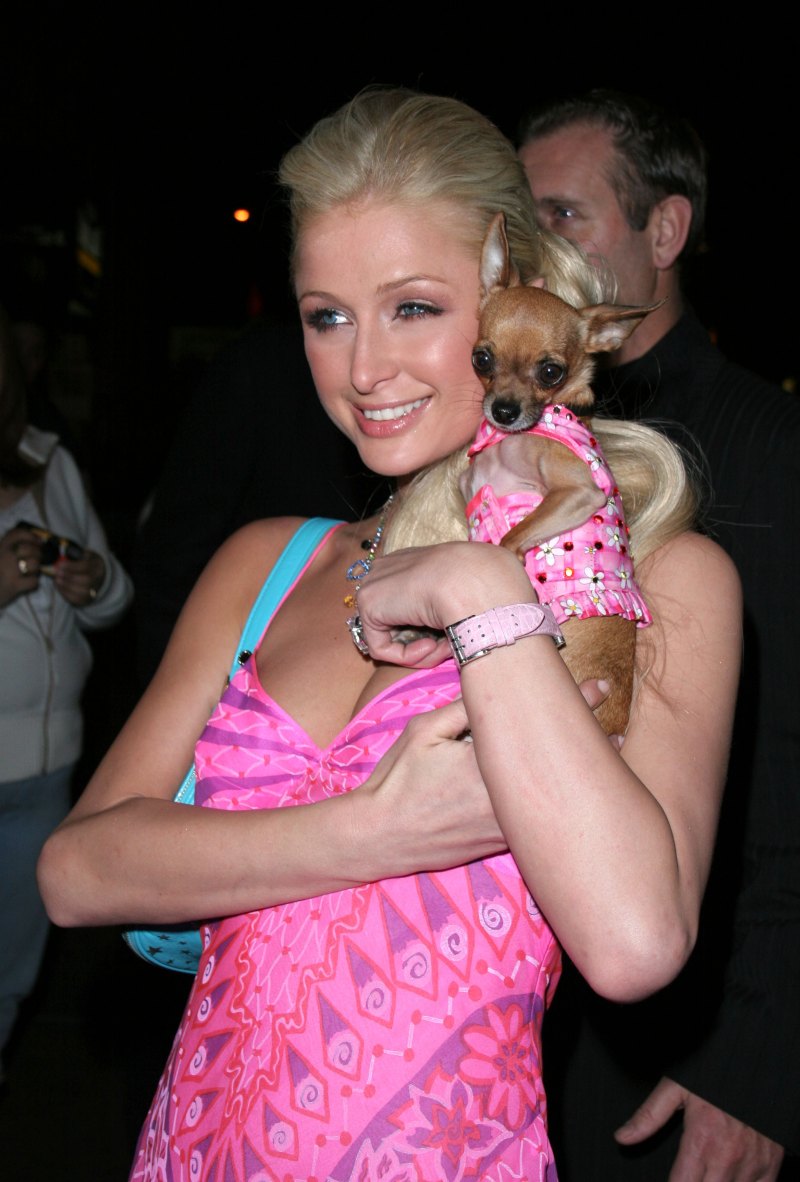 Paris Hilton Plastic Surgery: Cosmetic Work the Heiress Had Done