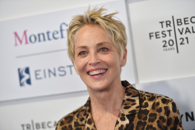 Sharon Stone Plastic Surgery