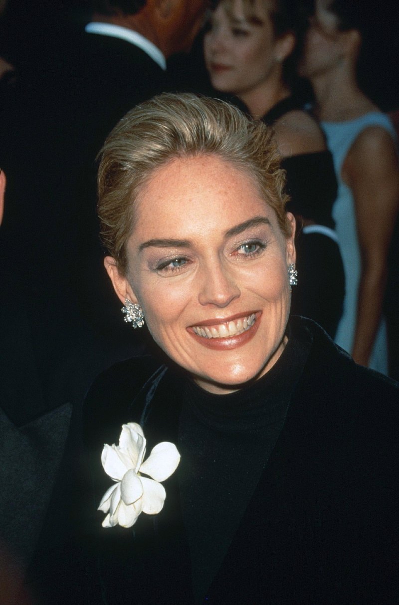 Sharon Stone Plastic Surgery