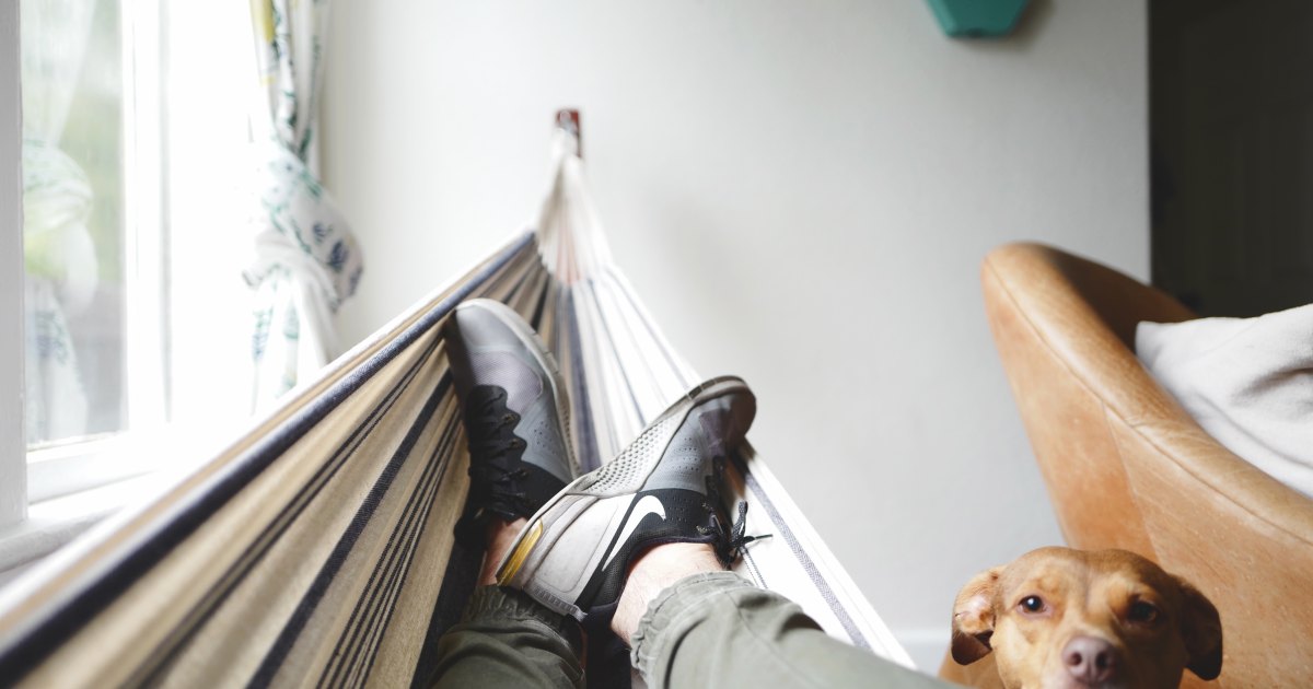 10 Best CBD Products on the Market to Relax With - Vimarsana News