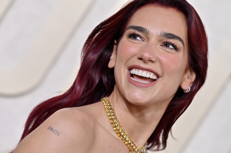 Did Dua Lipa Get Plastic Surgery? Transformation Photos
