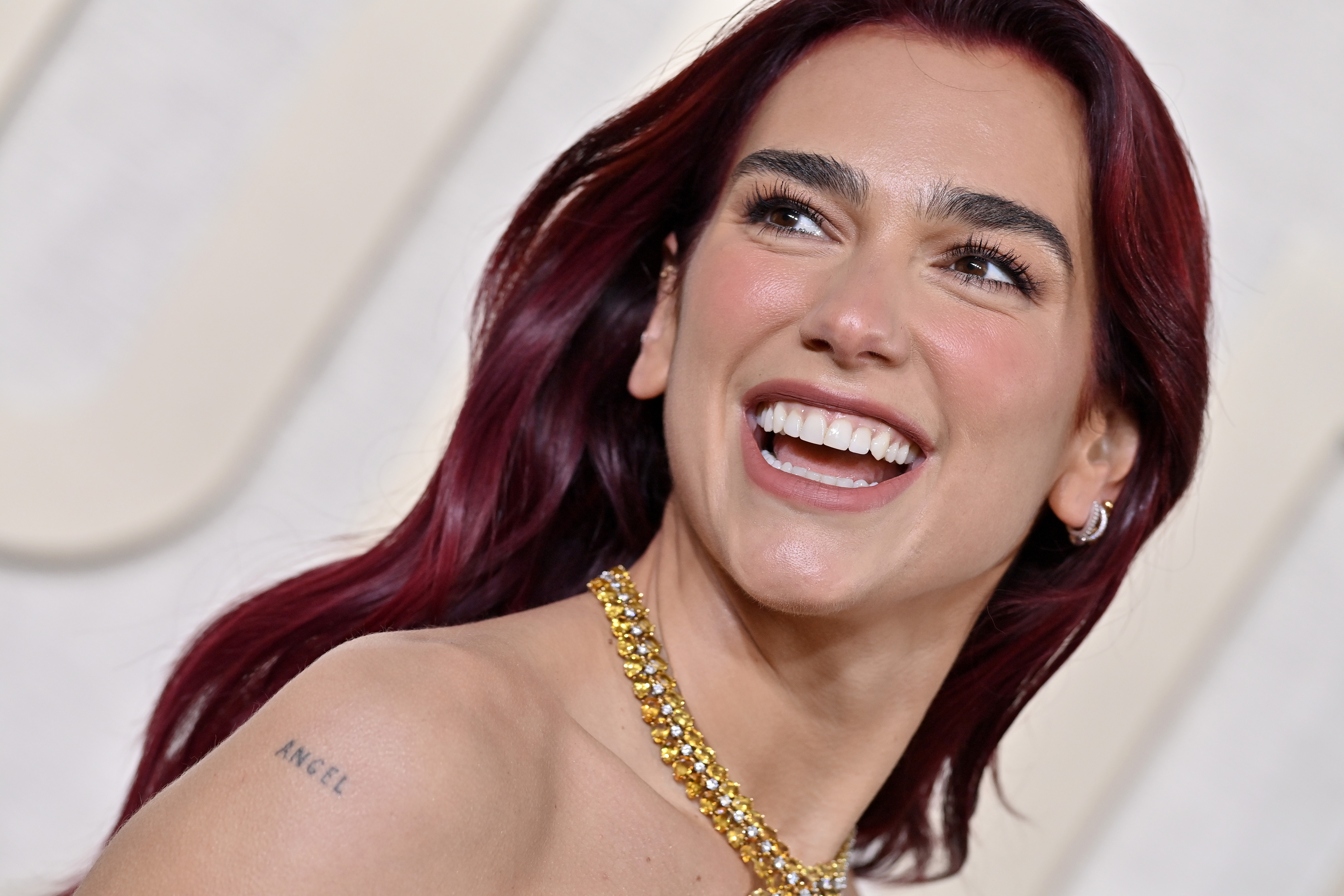Did Dua Lipa Get Plastic Surgery? Transformation Photos