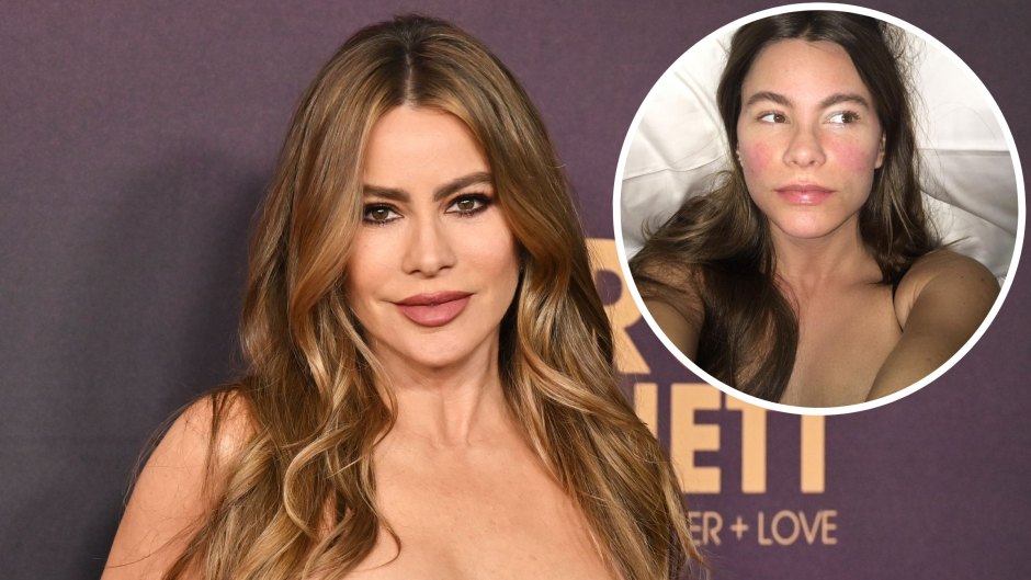 Sofia Vergara Is a Natural Beauty! See Photos of the Actress Without Makeup Over the Years