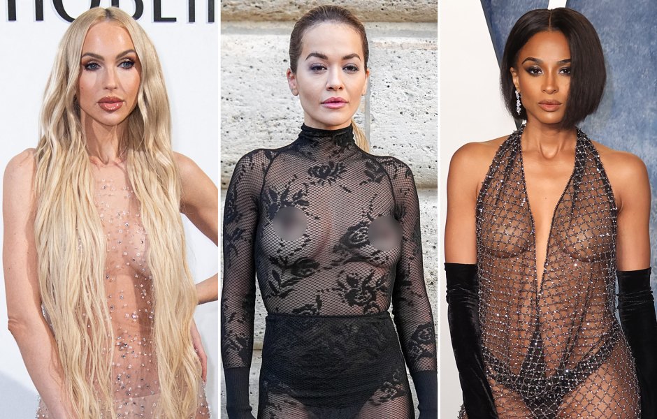 Stars Wearing Sexy Sheer Outfits