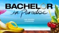Bachelor in Paradise backdrop