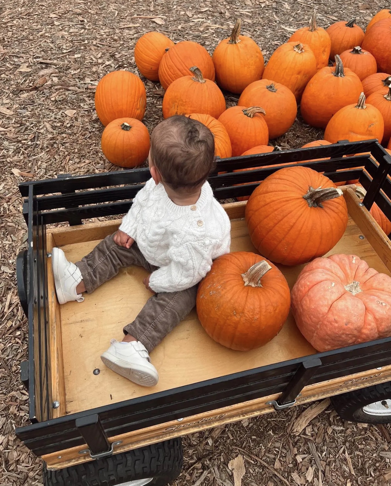 maralee nicols tristan thompson son photos 1