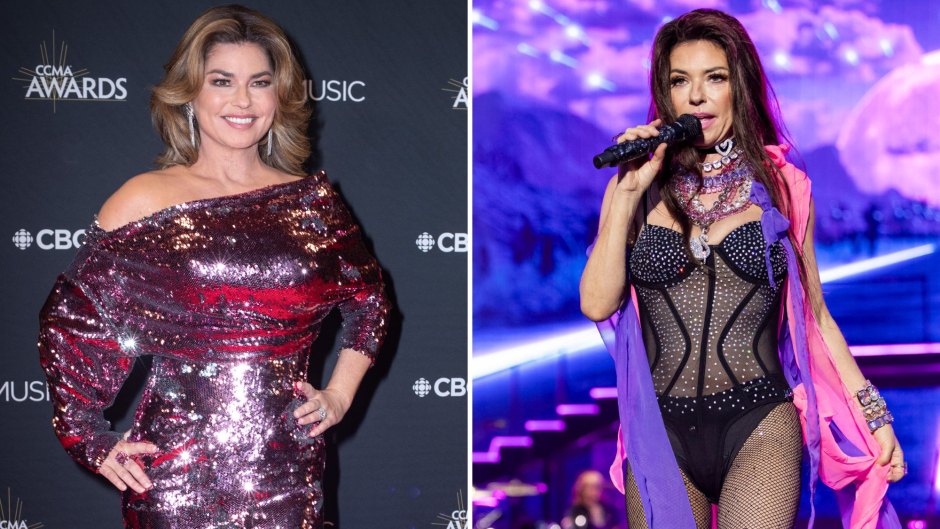 Shania Twain Weight Loss Transformation: Then, Now [Photos]