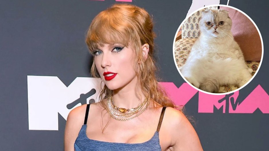 Taylor Swift's Cats Net Worth: Olivia Benson, Meredith Grey Fortune