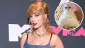 taylor swift cat net worth