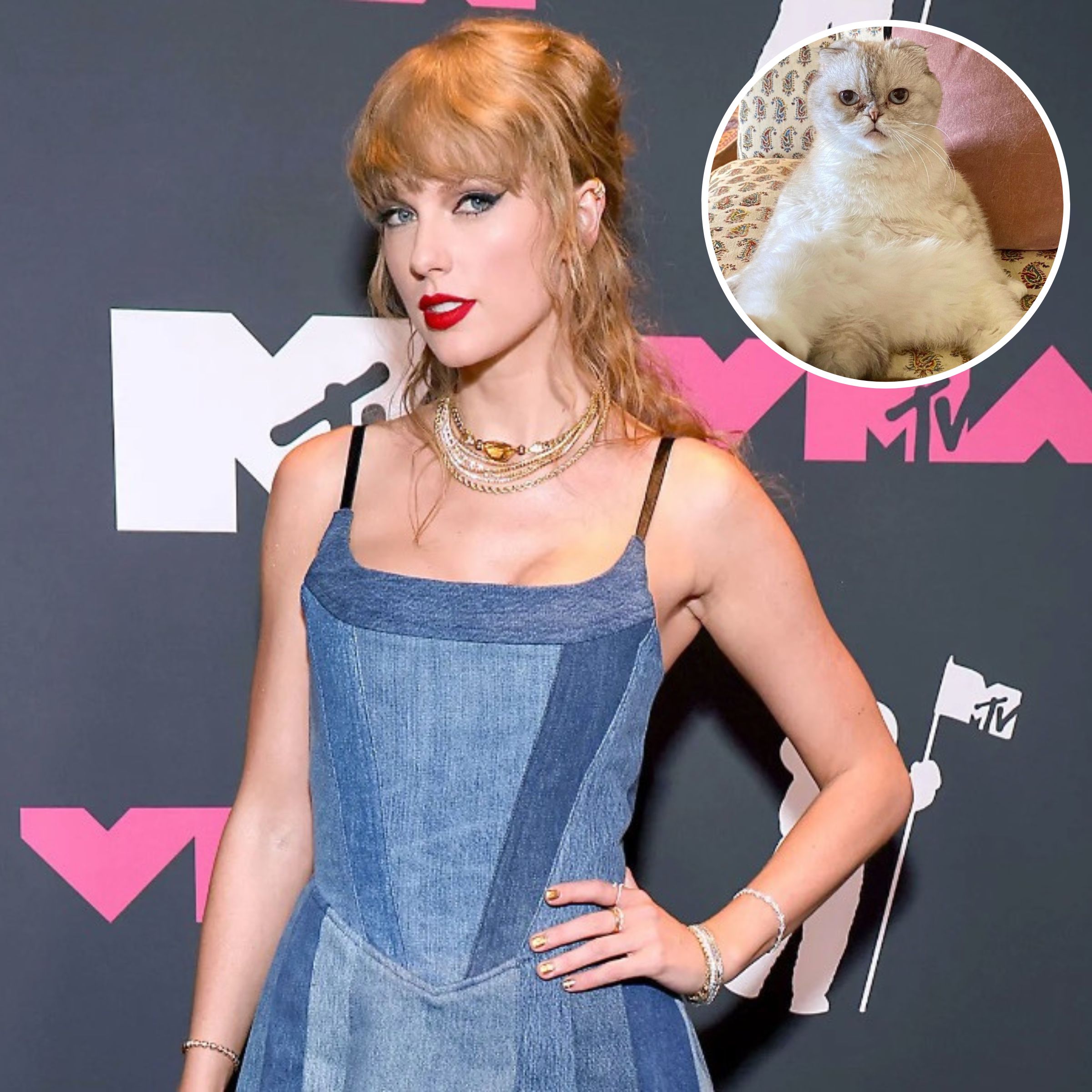 Taylor Swift's Cats Net Worth: Olivia Benson, Meredith Grey