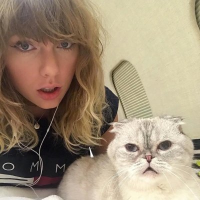 taylor swift cat olivia benson