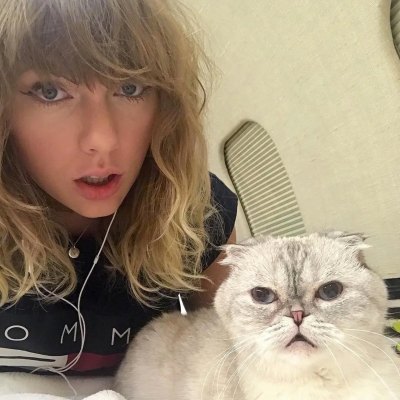 taylor swift cat olivia benson